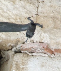 Photo Divers (12).JPG