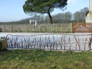 Photo Divers (16).JPG