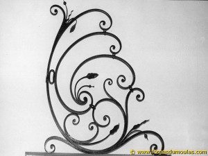 Photo Divers (40).jpg