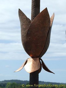 Photo Divers (57).jpg