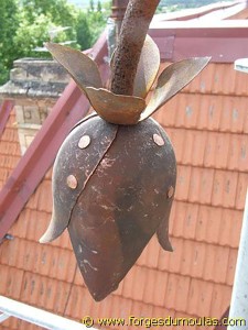 Photo Divers (58).jpg