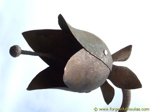 Photo Divers (59).jpg