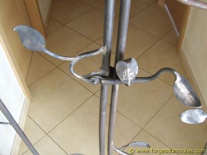 Photo Divers (65).jpg